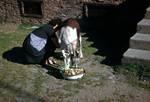 Woman Milking Goat, Near Heilbronner Hutte, Austria