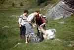 Petting the Goat, Ovstebo, Norway