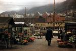 Flower Market, Bergen, Norway