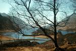 Loch Through Trees, Glenfinnan, Highland, Scotland