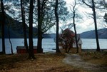 House by Loch, Loch Goil, Argyll and Bute, Scotland