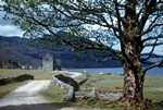 The Road to Carrick Castle, Loch Goil, Argyll and Bute, Scotland