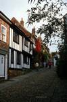 Street, Houses, Mermaid Inn, Rye, England
