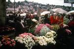 Flower Market, Tana, Madagascar