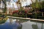 Alhambra - Jardins del Portal - Pool, Willows, Granada, Spain