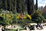 Alhambra - Generalife Gardens - Fountain & Shrubs, Granada, Spain