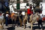 Lower Square, Party with Mules, Cazorla, Spain