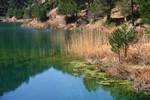 Lake with Reeds, Cazorla National Park, Spain