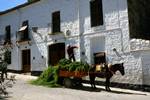 House, Man & Hay Cart, Baeza, Spain