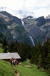 Looking to Waterfall, With Group, Engstligen Valley, Switzerland