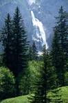 Waterfall from Trees, Engstligen Valley, Switzerland