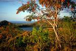 Excursion to Mt Passiot - Tree & Lake, Nosy Be, Madagascar