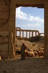 Doorway, Boy & Sheep, Palmyra, Syria