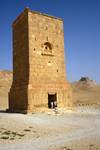 Tower Tomb & Castle, Palmyra, Syria