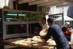 Buying Bread, Amman, Jordan