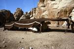 Bedouin Tent, Beida, Jordan