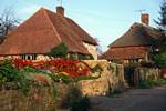 Thatched House & Red Berries, Amberley, West Sussex, England