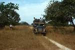 Casomance, Senegal, Land Rover on Grassy Track