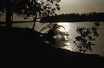 Casomance, Senegal, Evening on River
