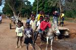 Sedhiou, Senegal, Ferry, Boys on Donkey