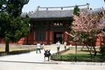 Changduk Palace - Entrance to Pavilion & Blossom, Seoul, Korea