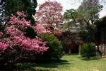 Changduk Palace & Secret Garden - Flowery Corner, Seoul, Korea