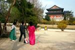 Kyongbuk Palace - Family Group Photographing, Seoul, Korea