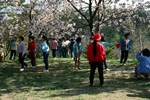Students under Blossom, Naksansa, Korea