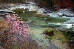 Blossom & Rocky River Bed, Soraksan, Korea