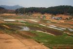 Mixed farming, En Route to Seoul, Korea