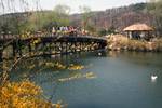 Long Bridge by Lake, Korean Folk Village, Korea