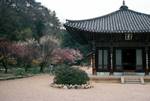 Popchusa Temple & Blossom, Sognisan National Park, Korea