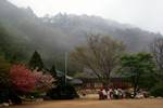 Mist on Hill, Temple, Sukkorum Grotto, Korea