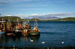 Fishing Boats, Mull, Oban, Scotland