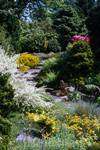 Botanic Gardens - Rock Garden, Old Aberdeen, Scotland
