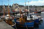 Small Boat Harbour - Fishing Boats, Shetland - Lerwick, Scotland
