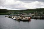 Harbour & Castle, Shetland - Scalloway, Scotland