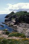 Cliffs, The Knab, Trefoil, Shetland - Lerwick, Scotland