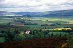 Scenery with Rape, North of Alford, Scotland