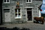 Local Shop - & Bull, Balmoral, Scotland