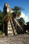 Palaces, Tikal, Guatemala