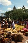 Market - Fruit Galore, Oxutzhab, Mexico