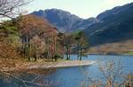 Foreland & Pines, Buttermere, England