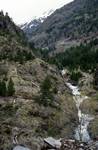 Daffs in Rocks, Path by River, Les Planes, Andorra