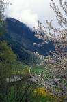 Valley & Blossom, El Serrat, Andorra