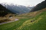 Looking Down Valley, Daffs, Val d'Incles, Andorra