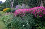 Flowers in Border, Pitmedden Garden, Scotland