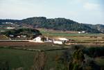 Agricultural Scene, On Way Back to Farm, Minorca, Spain