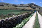 Road, Wall, White Flowers, From Monte Toro, Minorca, Spain