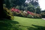 Lawn & Rhodies, Isola Madre, Italy